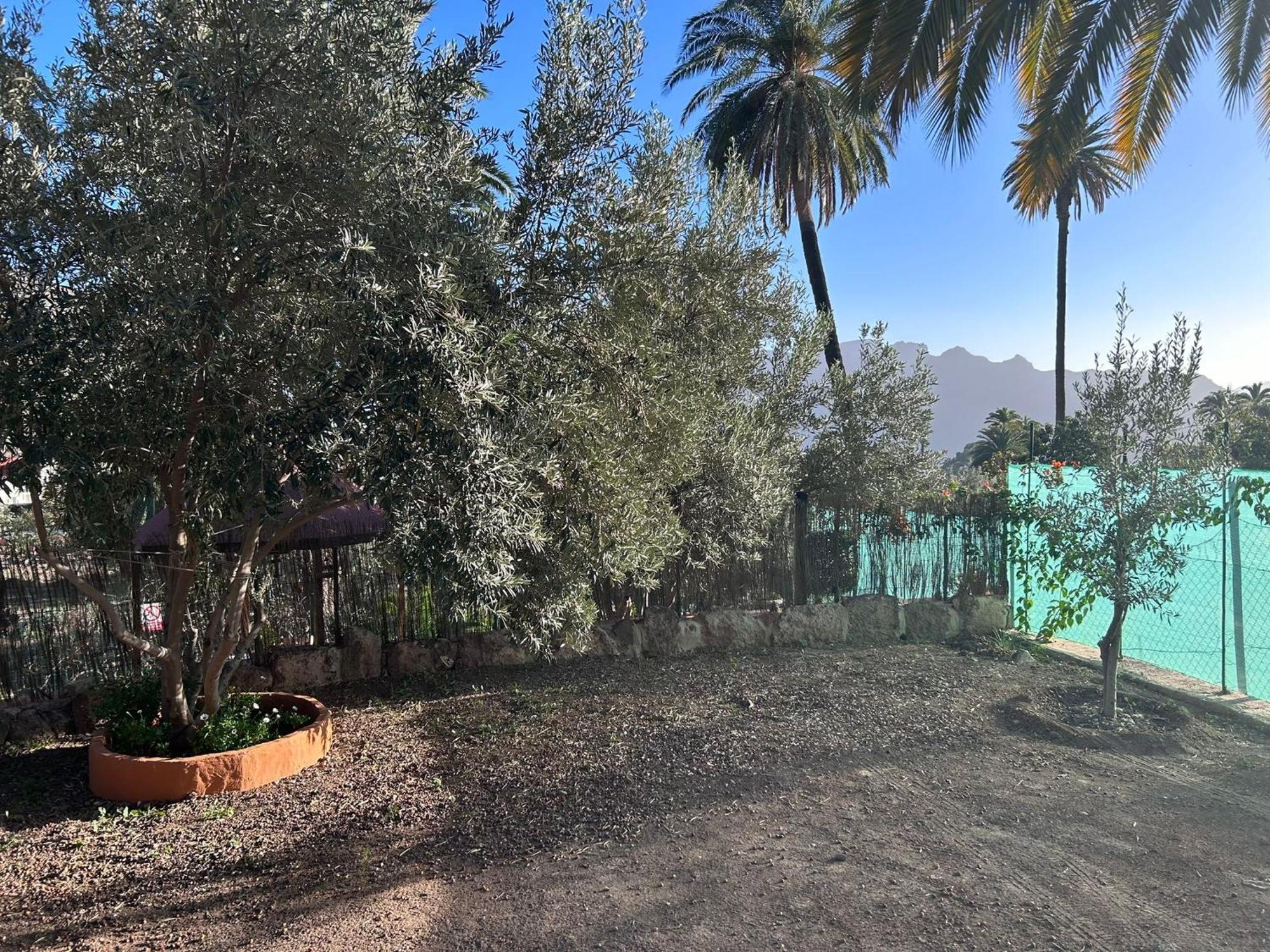 Вилла La Casa De Tea Santa Lucia De Tirajana Экстерьер фото